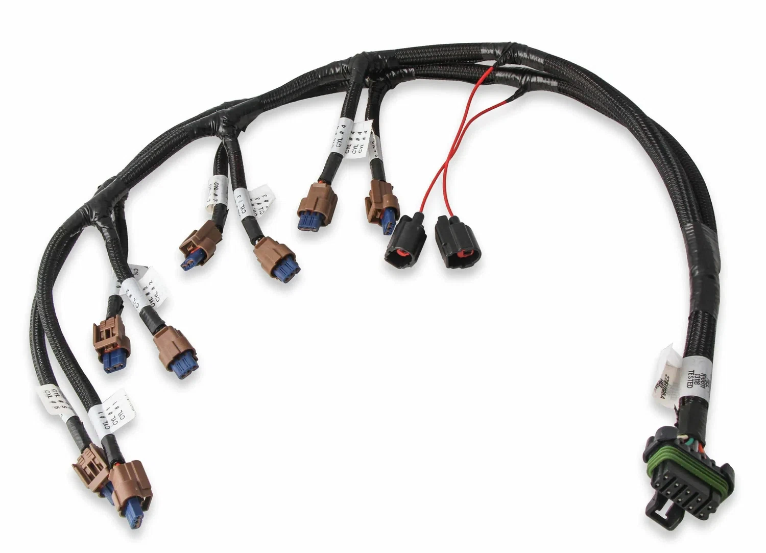 Ford Coyote Ti-VCT Coil Harness (2015.5-2017) - 558-322